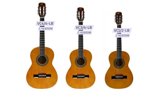 Классические гитары Vizuela с чехлом