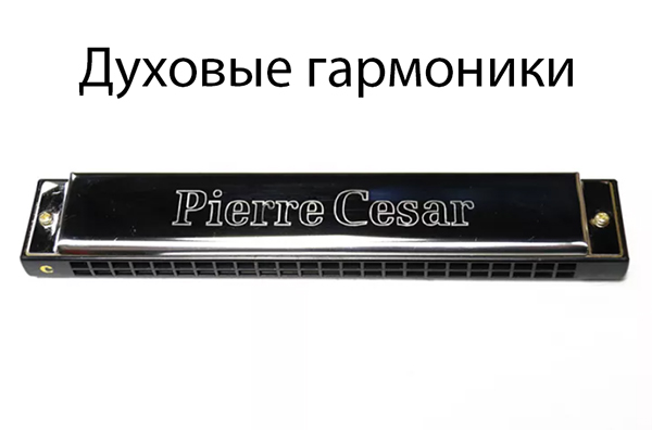 Губные гармошки. Их виды и типы. Советы по выбору.