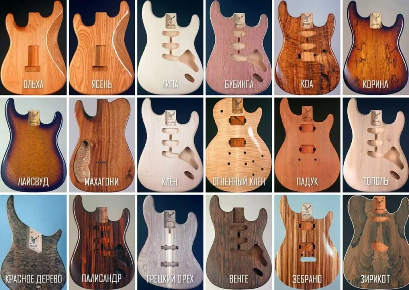 Влияние древесины на звук электрогитары