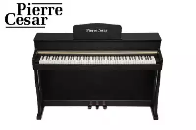 Цифровое фортепиано Pierre Cesar DP-500-H