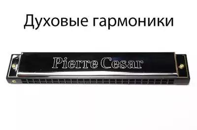 Губные гармошки. Их виды и типы. Советы по выбору.