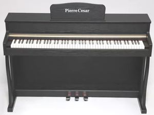 цифровое пианино Pierre Cesar DP-500-H