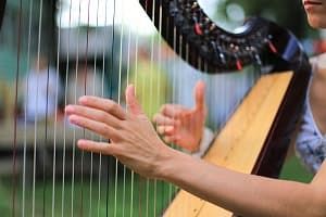 Разновидности струн для арфы